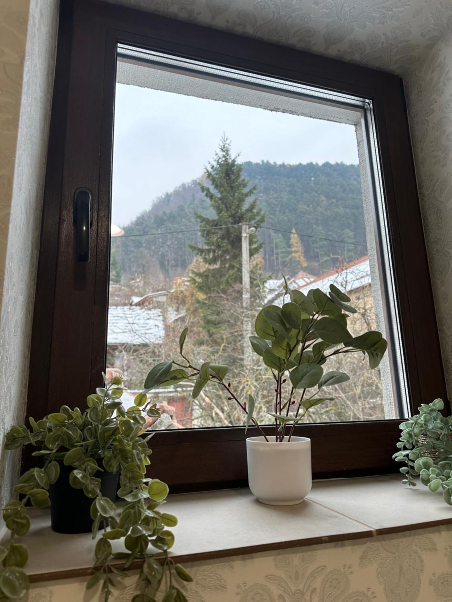Apartmán Schei House Brašov Exteriér fotografie
